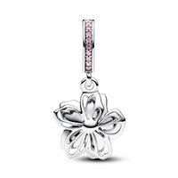 Charm Pandora in Argento Zirconia 790667C01 - 790667C01